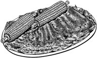 BDK50099.TIF