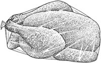BDR50094.JPG