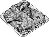 BDR50072.TIF