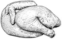 BDR50070.TIF