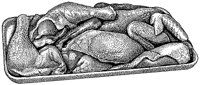BDR50017.TIF