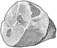 BDQ50055.JPG