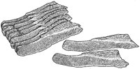 BDQ50043.JPG