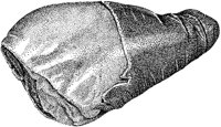 BDQ50033.TIF
