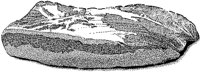 BDQ50029.TIF