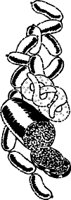 BDQ00002.WMF