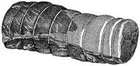 BDO50118.TIF