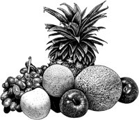 BEF50013.TIF