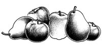 BEF50007.TIF