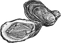 BEQ50027.JPG