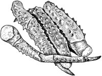 BEQ50022.JPG