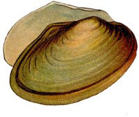 BEQ50021.JPG