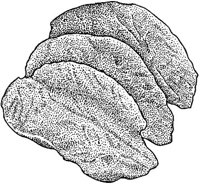 BEO50094.JPG
