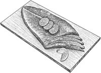 BEO50092.JPG