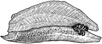 BEO50090.JPG