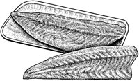 BEO50056.TIF