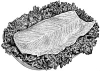 BEO50049.TIF