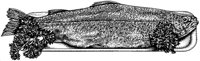 BEO50044.TIF