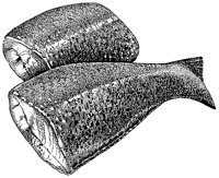 BEO50029.TIF