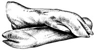 BEO50025.TIF