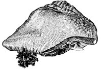 BEO50022.TIF