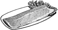 BEO50016.TIF