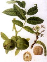 BEY50029.JPG