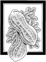 BEY50019.TIF