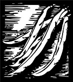 BGF00004.WMF