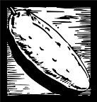 BGF00003.WMF