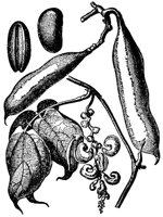 BGD50001.JPG