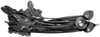 BGB50013.TIF