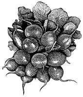 BGB50005.TIF