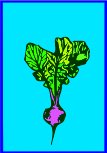 BGB00008.WMF