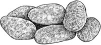 BGA50028.JPG