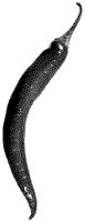 BFY50003.TIF