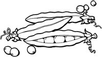 BFX50006.TIF