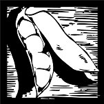 BFX00014.WMF