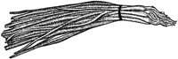 BFW50028.JPG