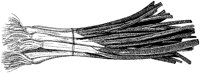 BFW50011.TIF