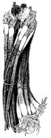 BFW50005.TIF