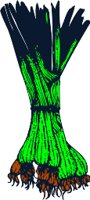 BFW00005.WMF