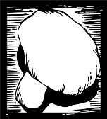 BFU00013.WMF