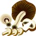 BFU00008.WMF