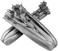 BFS50057.TIF