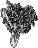BFS50048.TIF