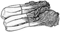 BFS50043.TIF