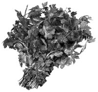 BFS50038.TIF