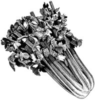BFS50003.TIF