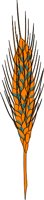 BFR00009.WMF
